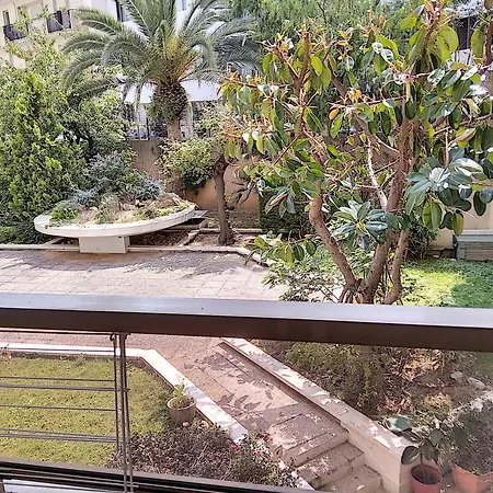 Graziella 411 * جوان ليه باه